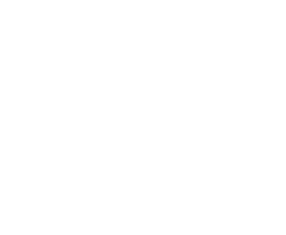 Haval_branco