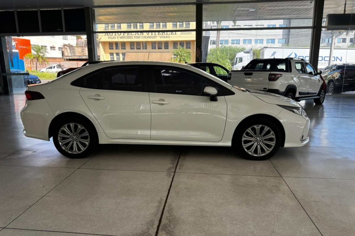 WhatsApp Image 2026-03-14 at 10.39.41..